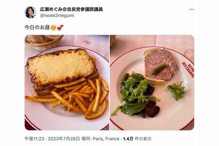 「ただの観光旅行」と批判が集まっている『自民党女性局』のフランス研修（広瀬めぐみ議員のツイッターより）