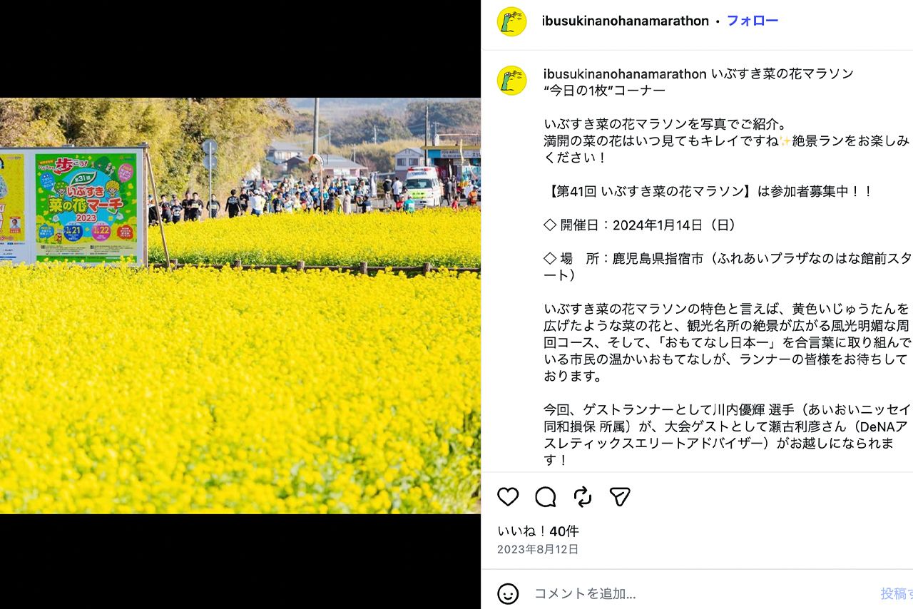 満開の菜の花の中を走る『いぶすき菜の花マラソン』公式Instagramより）