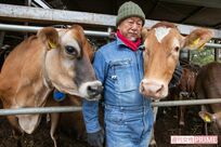 東京の牧場で生きるということ、苦情を乗り越えたどり着いた「牛と人の楽園」