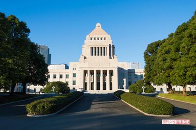 「選挙に行けば玉ねぎの値段を変えられるかも」難しい話じゃない、政治家“推し活”のススメ