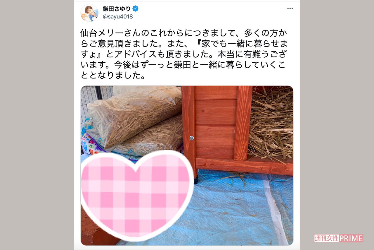里親に預ける宣言から16時間後、一転して一緒に暮らしていくことを報告（ツイッターより）