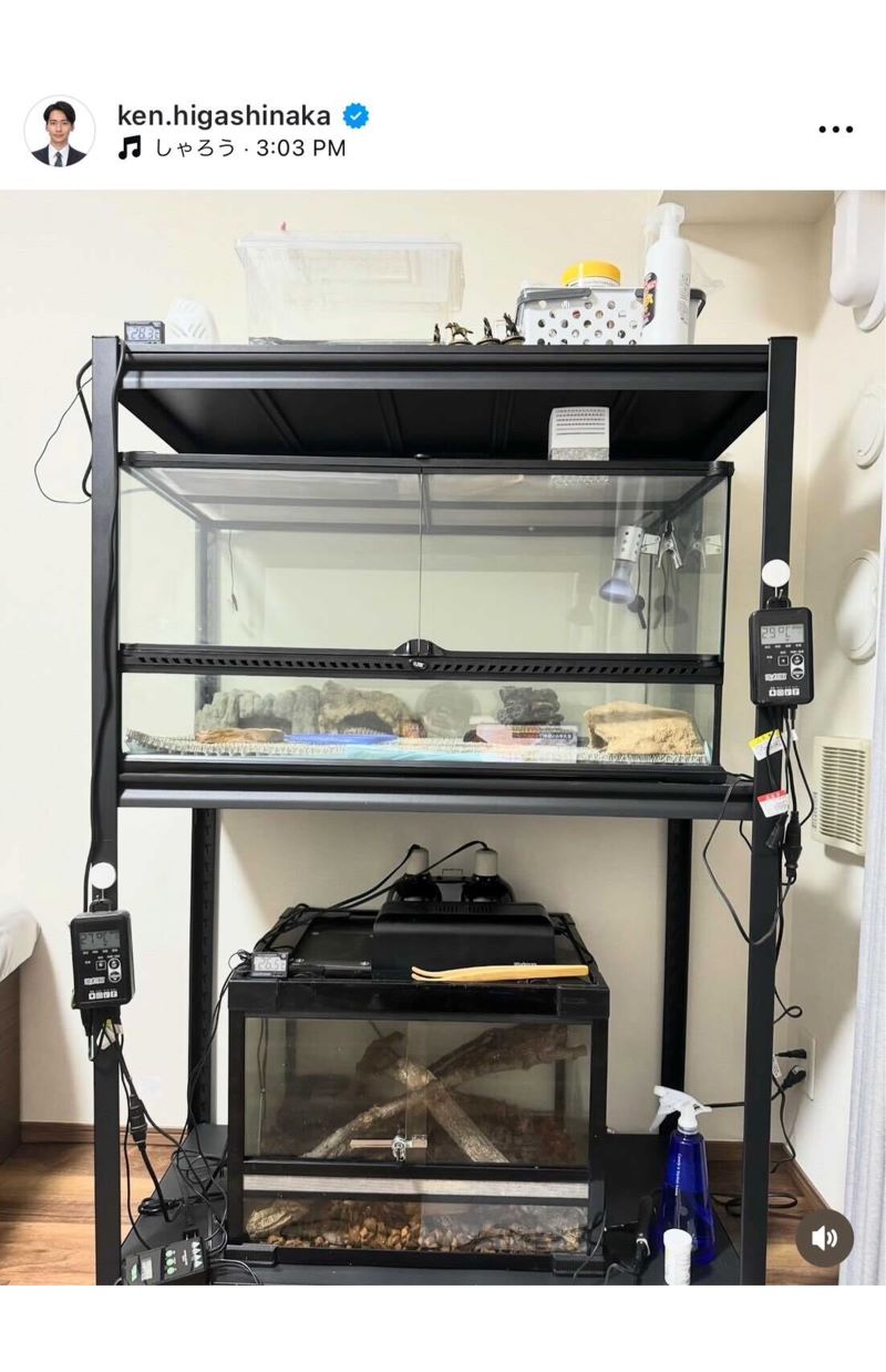 自宅には爬虫類コーナーがあるという（東中健アナウンサーのインスタグラムより）