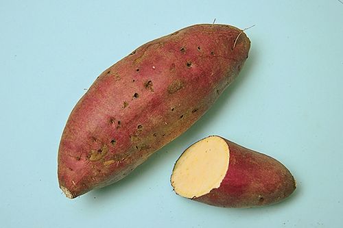 紅赤、強いホクホク感