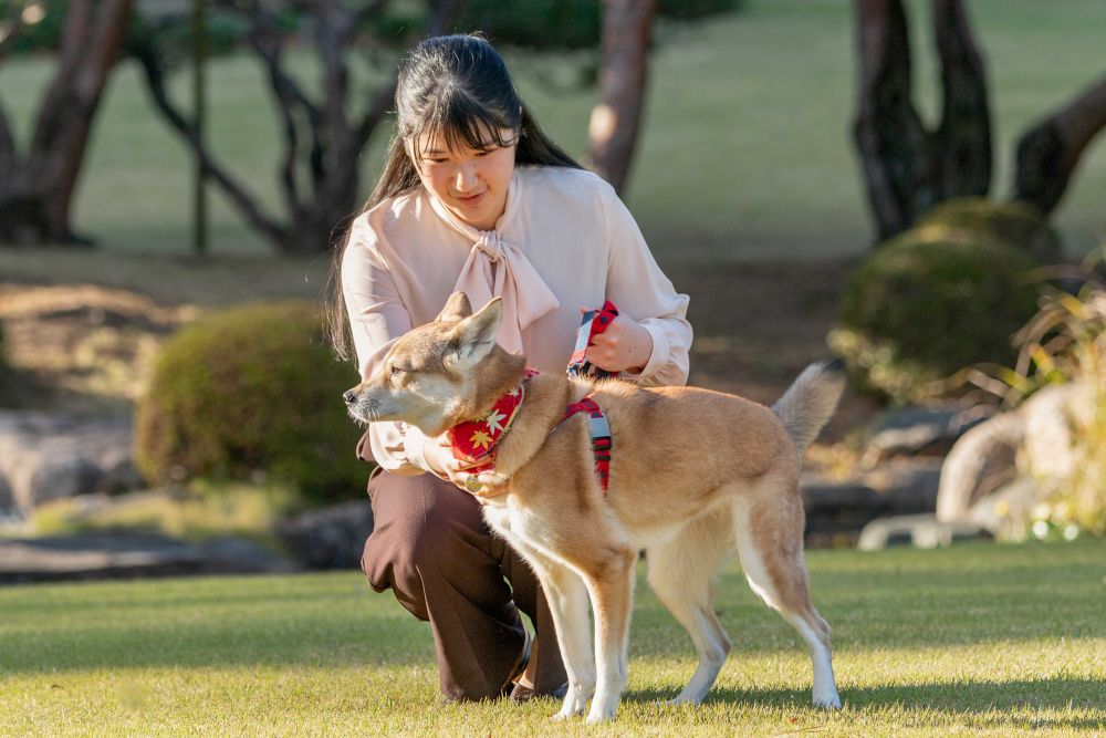 2020年12月。愛子さま19歳のお誕生日に公開された写真。由莉をいつくしむ愛子さま