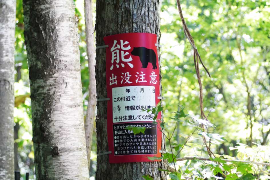クマ出没注意の看板