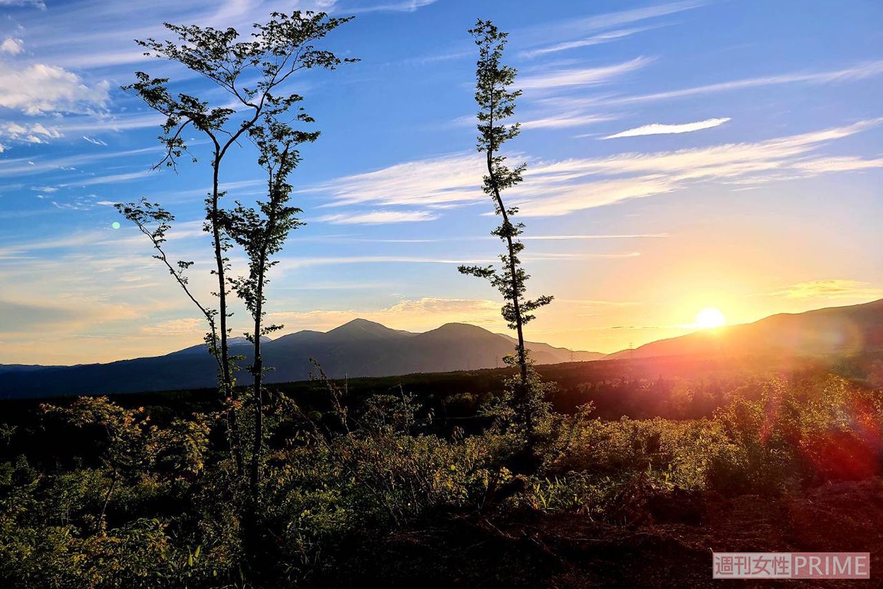 広大な敷地から見える景色