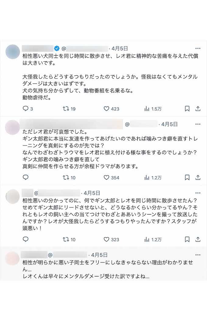 『坂上どうぶつ王国』の公式SNSには放送中から非難の声が多数上がっている（番組公式『X』より）