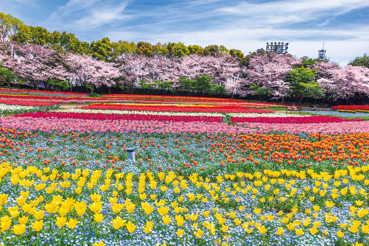 なばなの里［三重県］