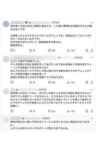 『坂上どうぶつ王国』の公式SNSには放送中から非難の声が多数上がっている（番組公式『X』より）