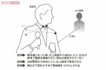 取材を基に『週刊女性』が作成した銃創の説明図　イラスト／スヤマミズホ