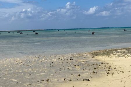 大野智が釣りをしているという海。すっかり見た目も変わった彼の存在に気づく者は少ない
