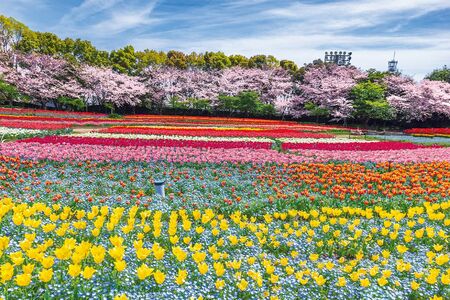 なばなの里［三重県］