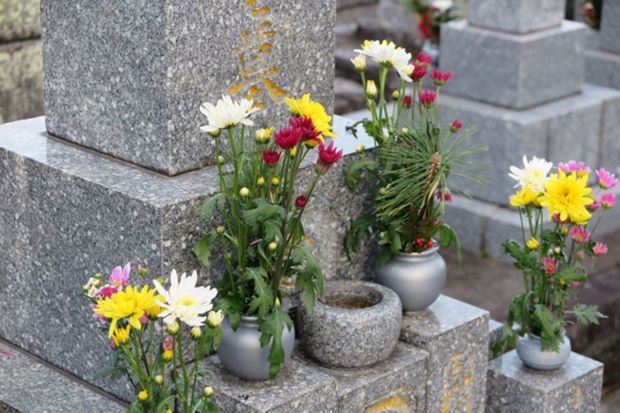 以前のお墓のイメージと異なり、樹木をモチーフにした樹木葬や、明るい印象の納骨堂など多様化している