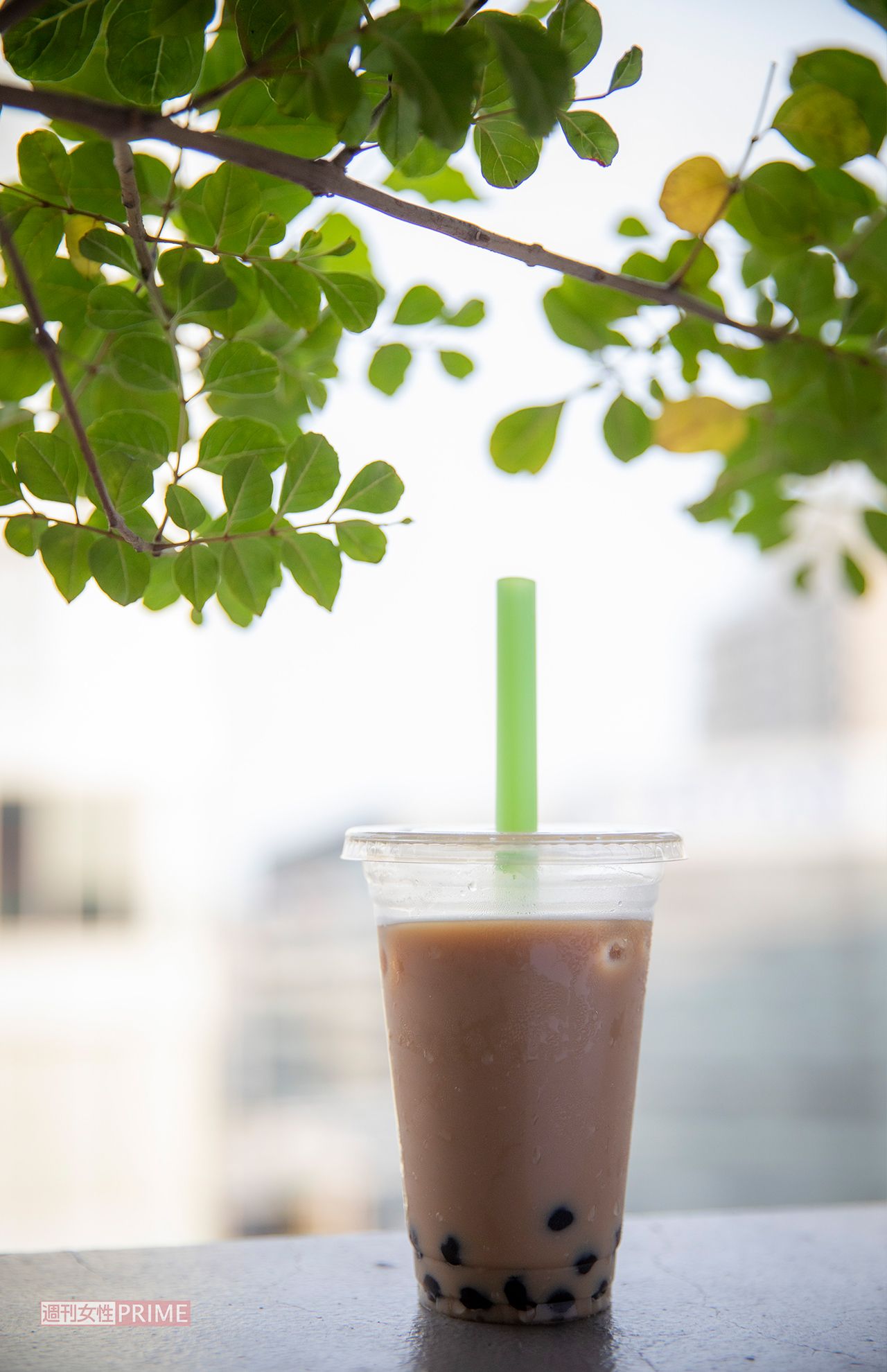 『週刊女性』の男性カメラマンが“映え”に挑戦してみるもアプリの加工には勝てず!?