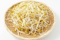 実はスゴい「豆もやし」、肌を潤し骨も丈夫に！“若返りおかず”の簡単レシピ