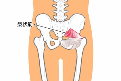 《MEMO》梨状筋の縮みをほぐし、左右差を整えるイメージで、ひざをゆらす