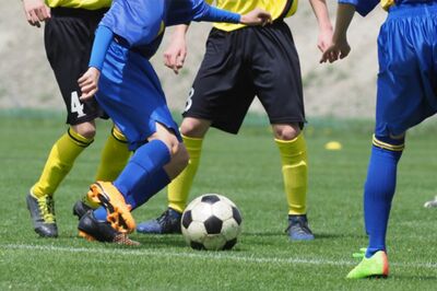 ※画像はイメージです