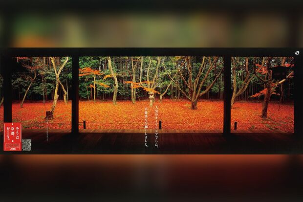 「高桐院」'96年秋。“人気のオープンエアでした。お抹茶をお願いしました。”※拝観休止中（拝観再開時期は未定）