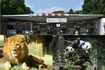 今年で140周年を迎える上野動物園