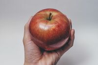 【知って楽しい雑学】りんごがワックスを塗ったようにテカテカなのは「油上がり」食べ頃サインを保つ裏技