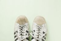 結婚相談所の仲人も驚く、お見合い現場に現れた衝撃的な「珍客」たち