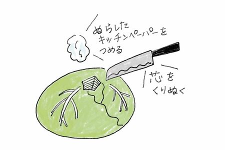イラスト／やのあきこ