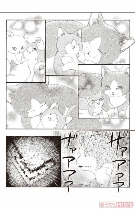 『ペット共生型マンション物語　ハイツ祐天寺へようこそ』（漫画 柏屋コッコ／原作 小林のえ）28ページより