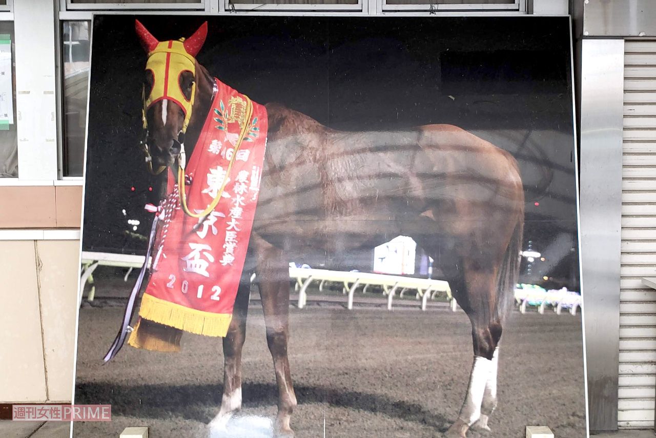 岐阜県・笠松競馬に展示されている名馬「ラブミーチャン」のパネル　撮影／編集部