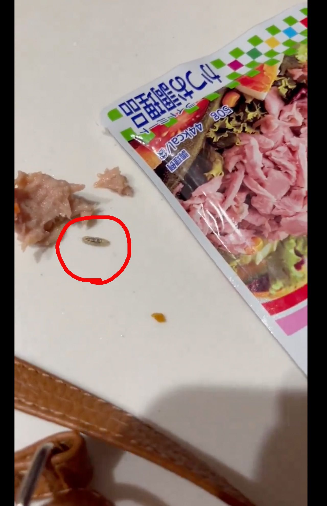 「シーチキンにウジ虫」混入を疑ったSNS動画。自ら這い出て動き回る虫（※編集部加工）