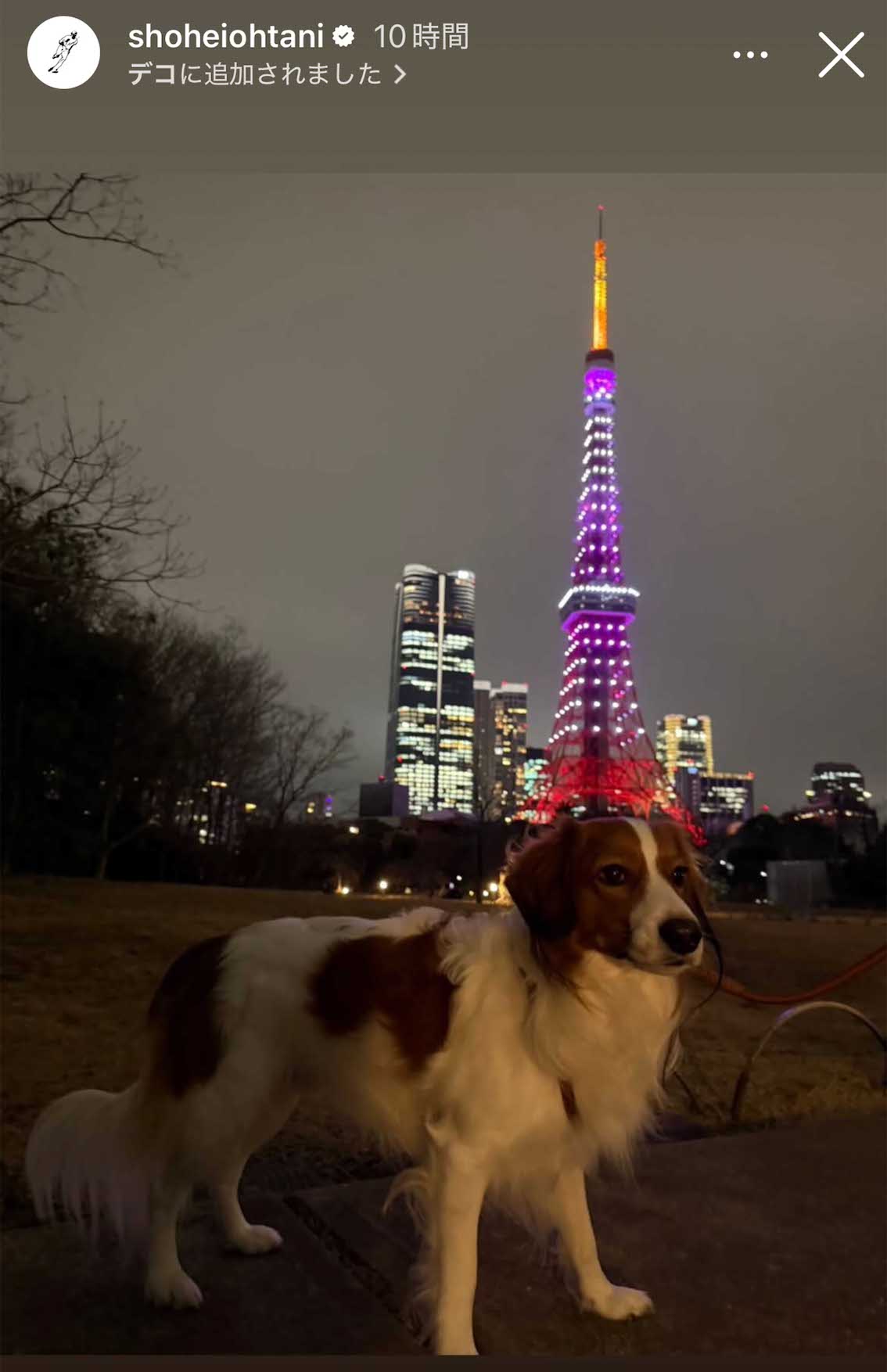 東京タワーをバックにポーズを決めたデコピン（大谷翔平のインスタグラムより）