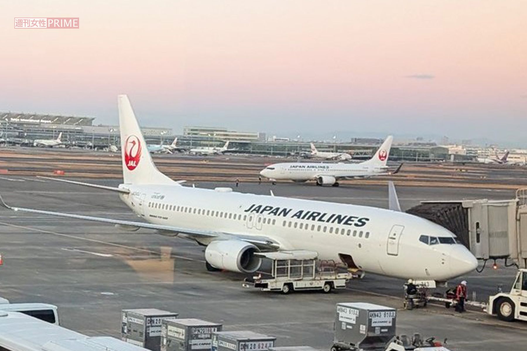 JAL　撮影／編集部
