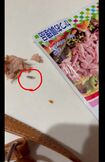 「シーチキンにウジ虫」混入を疑ったSNS動画。自ら這い出て動き回る虫(※編集部加工)