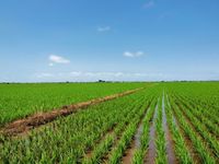 シニアも若者も都会から田舎へ！　空前の地方移住ブームで希望地1位はどこ？