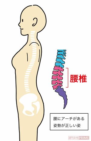 きれいなカーブが重要！※画像はイメージです