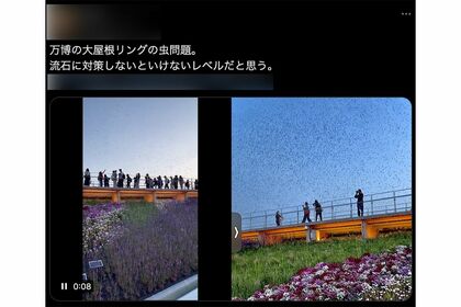 頭上に虫が大量に…（Xより）