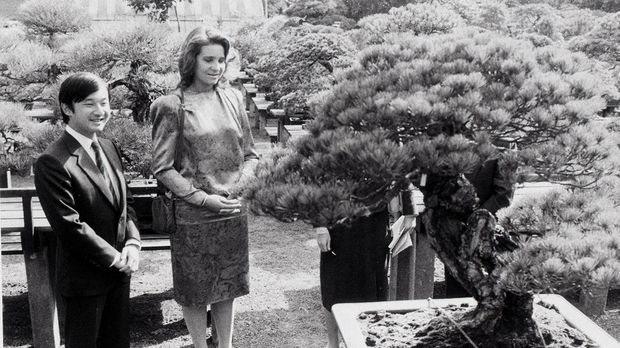 30年前、皇居の庭でエレナ王女をご案内する皇太子さま('86年10月)