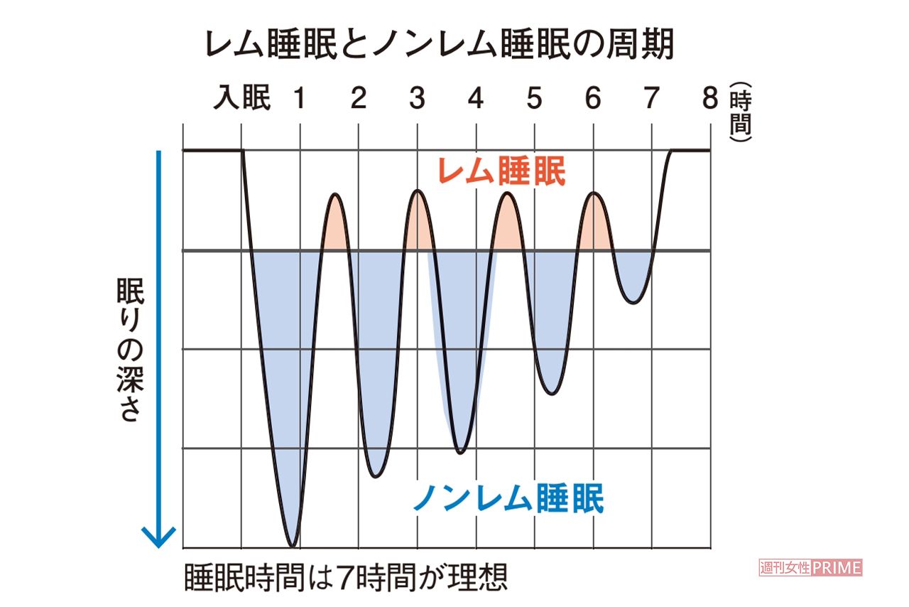 レム睡眠とノンレム睡眠の周期