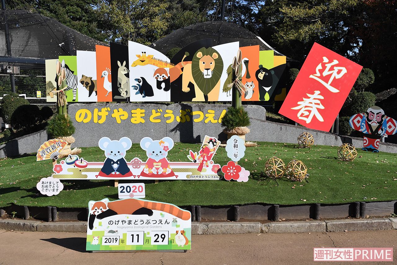 記念撮影スポットで子年の年賀状もバッチリ!　撮影／渡邉智裕