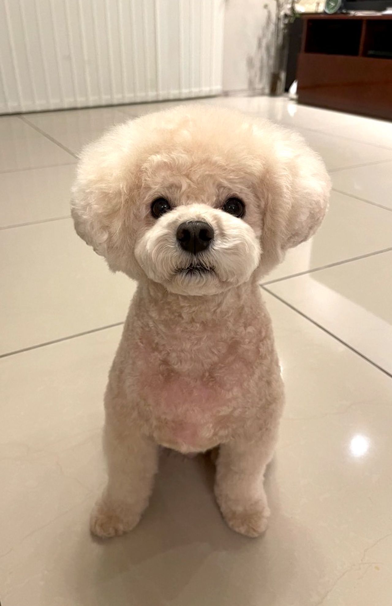 福くん、順調に回復中です!　撮影／加藤綾菜