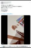 《大手食品ウジ虫混入謝罪なし》のハッシュタグをつけてSNS拡散させたXユーザーのポスト