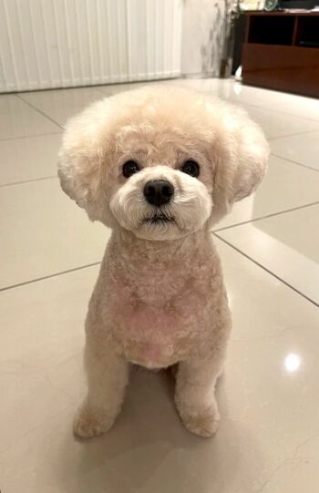 福くん、順調に回復中です!　撮影／加藤綾菜