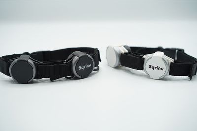 竹内さんらが研究しているハンズフリー電動式の人工喉頭機器（竹内さん提供）