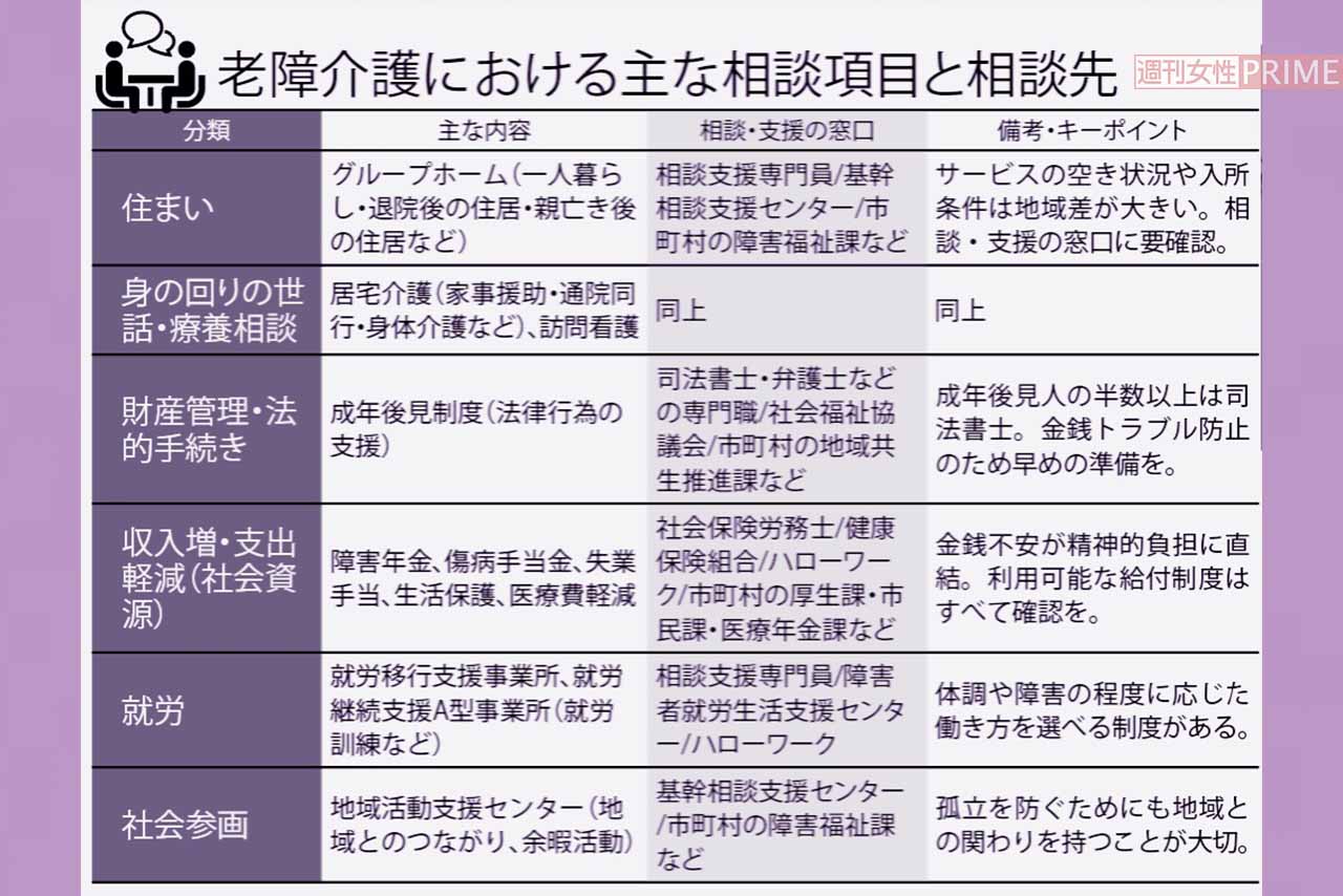 老障介護における主な相談項目と相談先