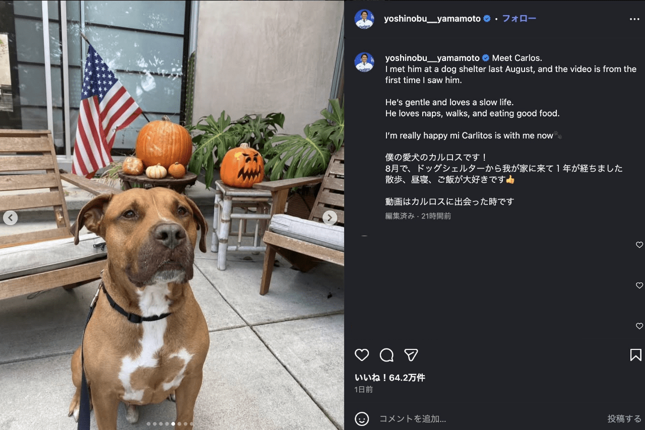 世界がベタ惚れしているドジャース・山本由伸の愛犬カルロス（公式インスラグラムより）
