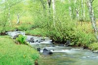 祝・山の日施行「初めての山歩き」プロに聞く“女性”ならではの楽しみ方