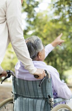 ※画像はイメージです