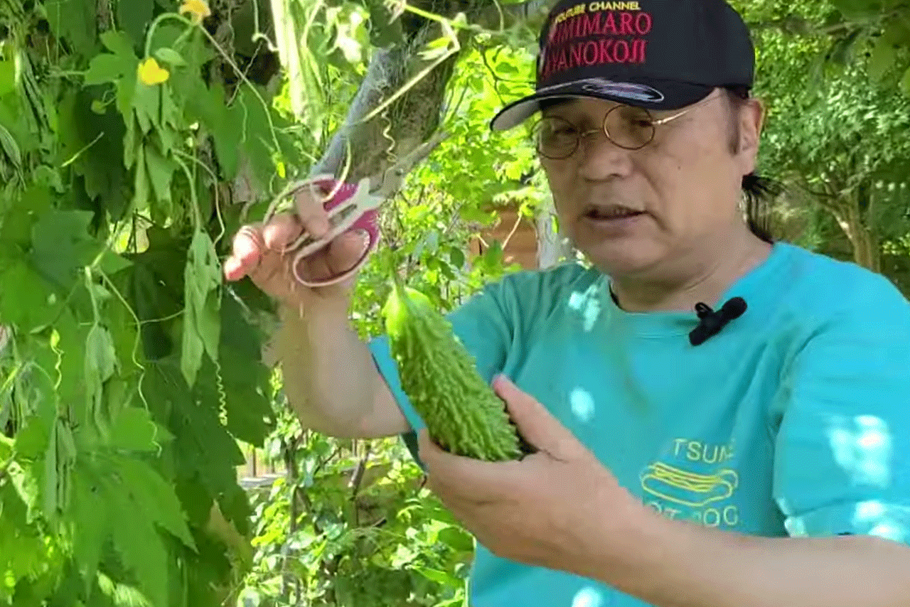 250坪ある「きみまろポンポコ農園」で農作業に勤しむ日々。苗を買いに行き、トラクターも運転する