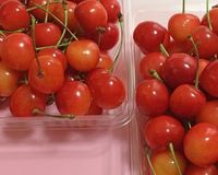 宮城女子「東北一優しい」、山形女子「告白”する派”」