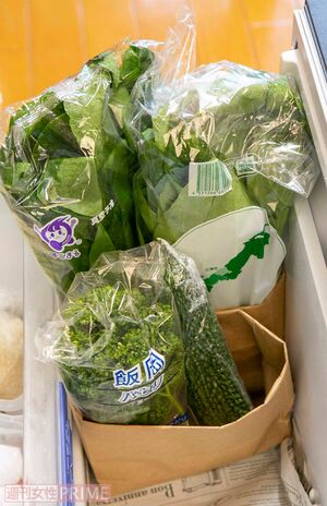 野菜室　撮影／伊藤和幸