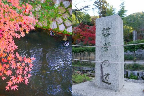 （c）京都市メディア支援センター